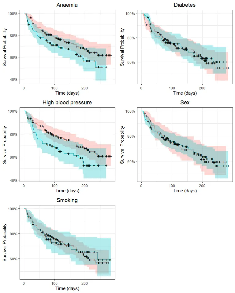 Survival curve of patients divided into groups for each categorical variable.