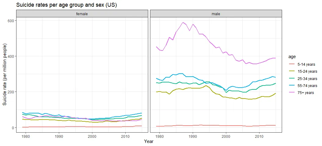 Suicide rate per gender and age group in the USA